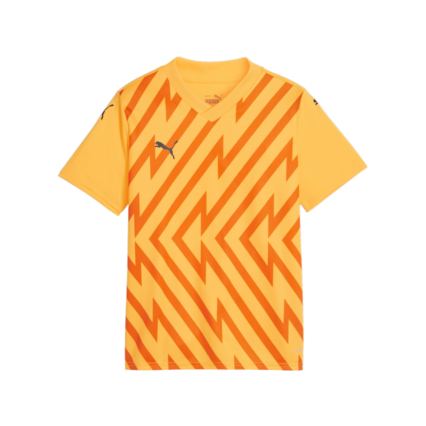 PUMA teamGLORY Trikot Kids Orange Schwarz F61