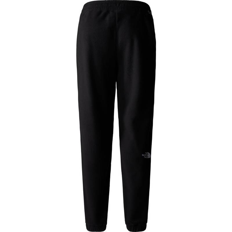 The North Face 100 GLACIER Sweathose Damen