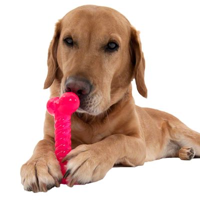 Hundespielzeug TPR Knochen