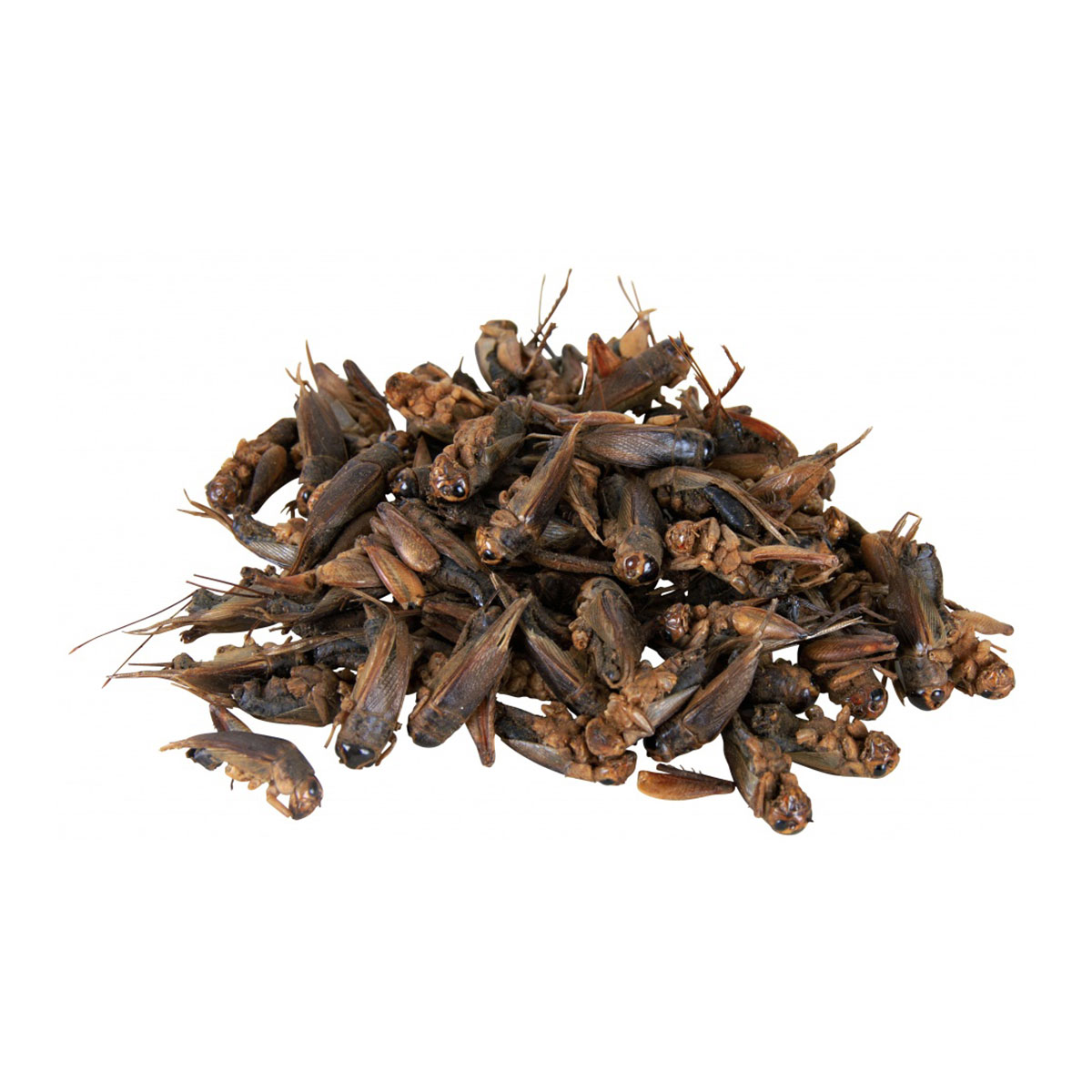 Trixie Grillen 25g günstig kaufen