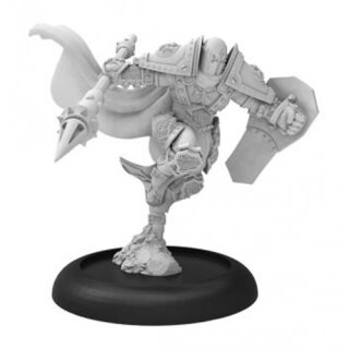 Protectorate Solo Flameguard Hero Pyrrhus
