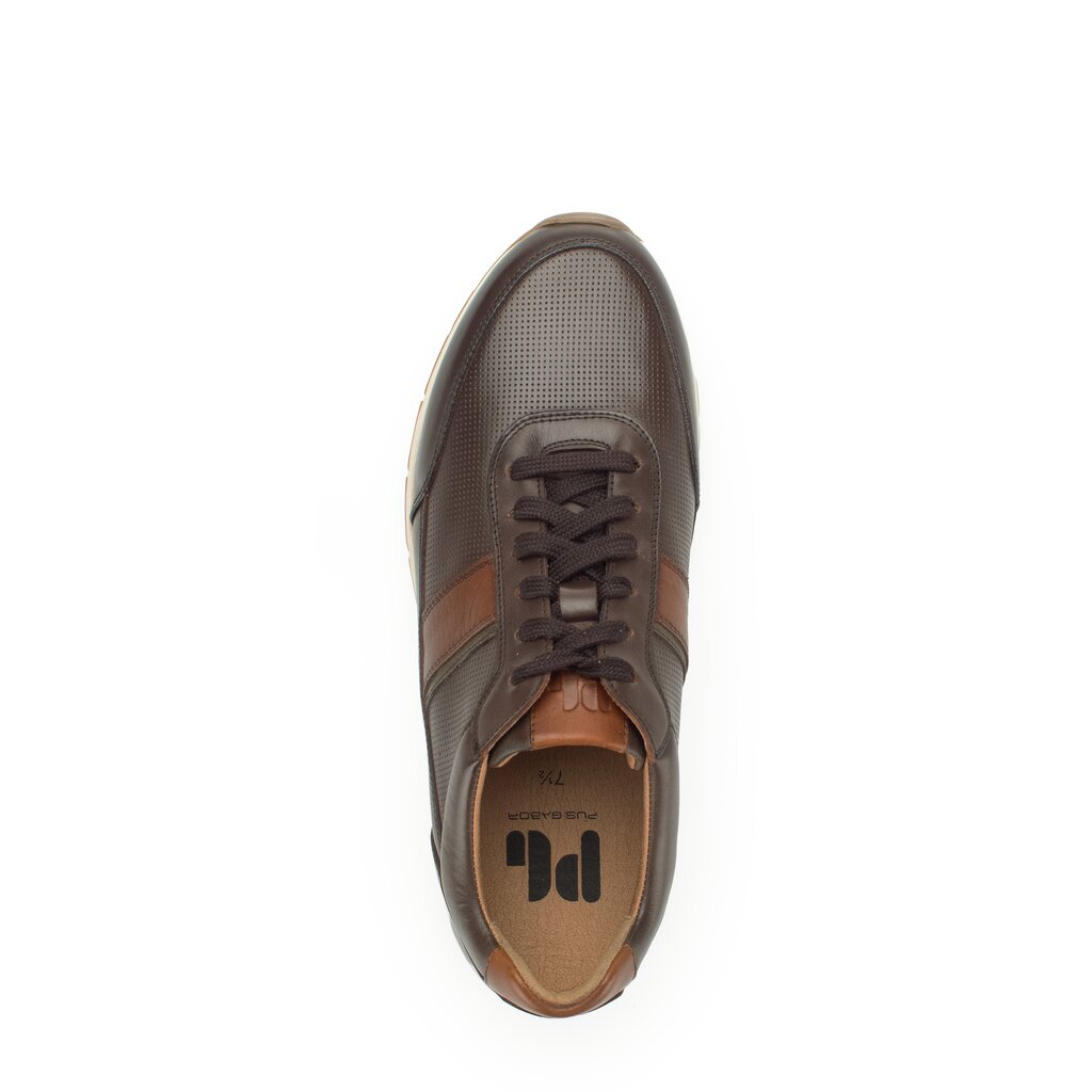 Pius Gabor PG1047 Sneaker low braun