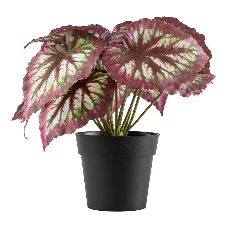 Blossom Kongebegonia 20 cm kunstig