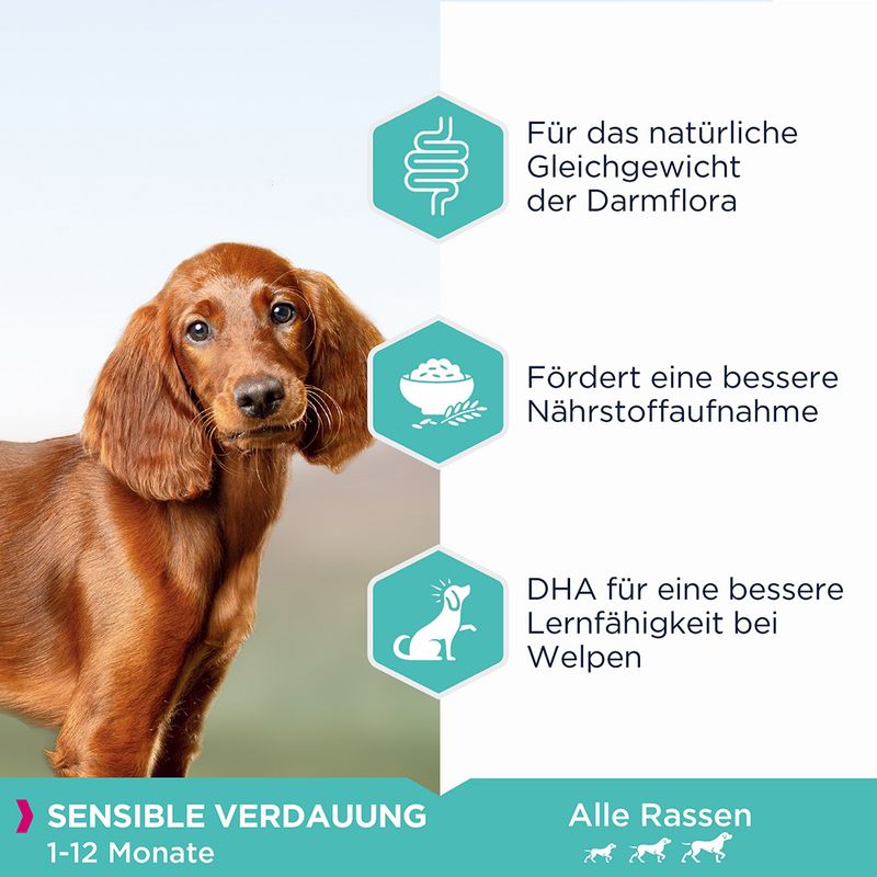 Eukanuba Puppy Sensitive Digestion mit Huhn & Pute
