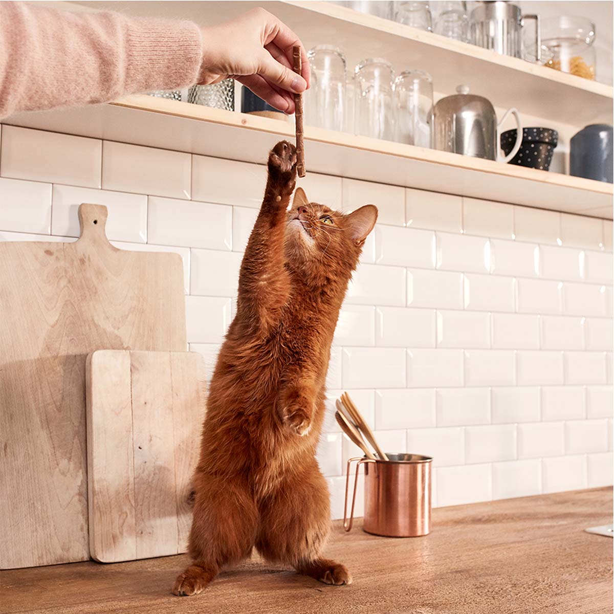 GimCat Kitten Sticks Truthahn günstig kaufen