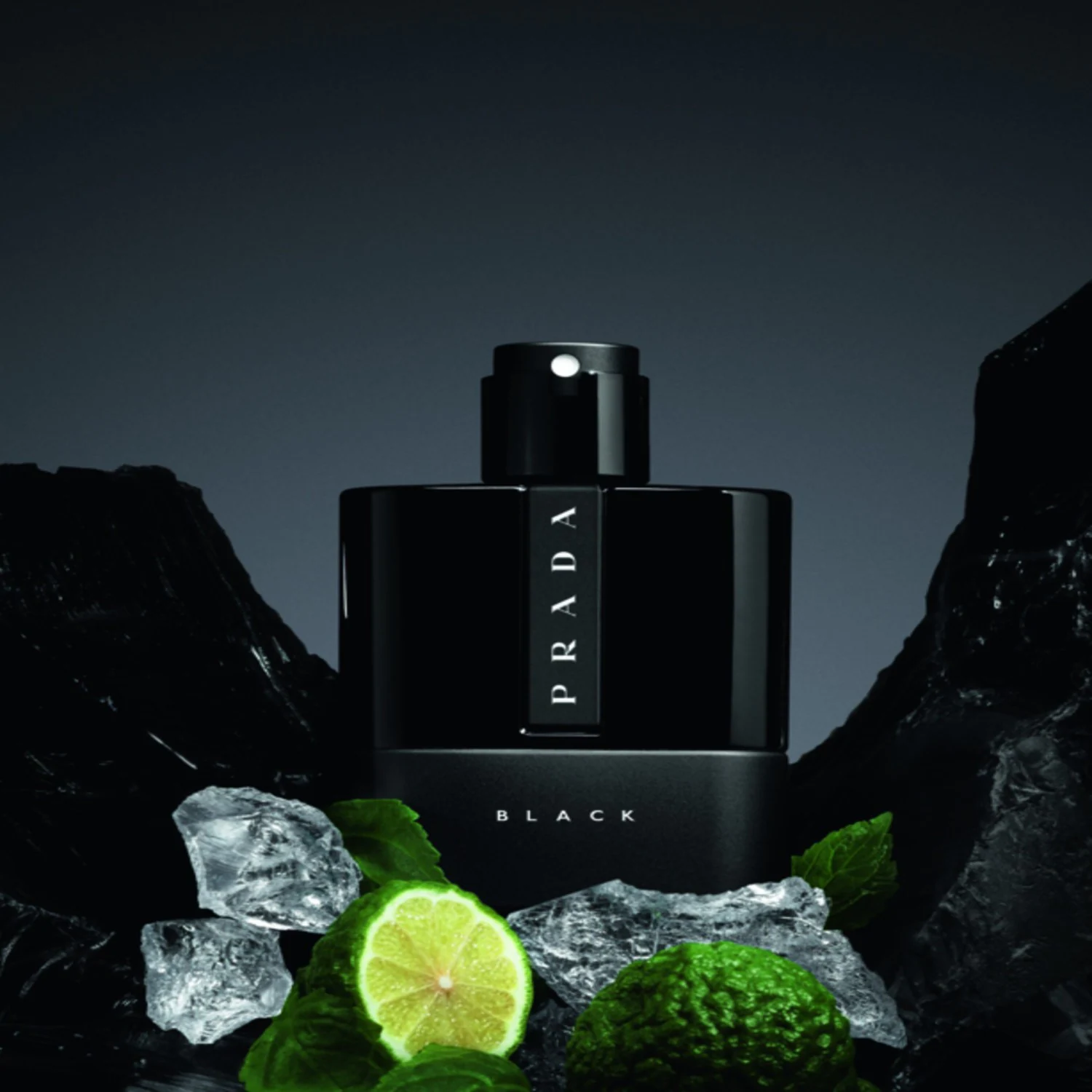 Prada Black