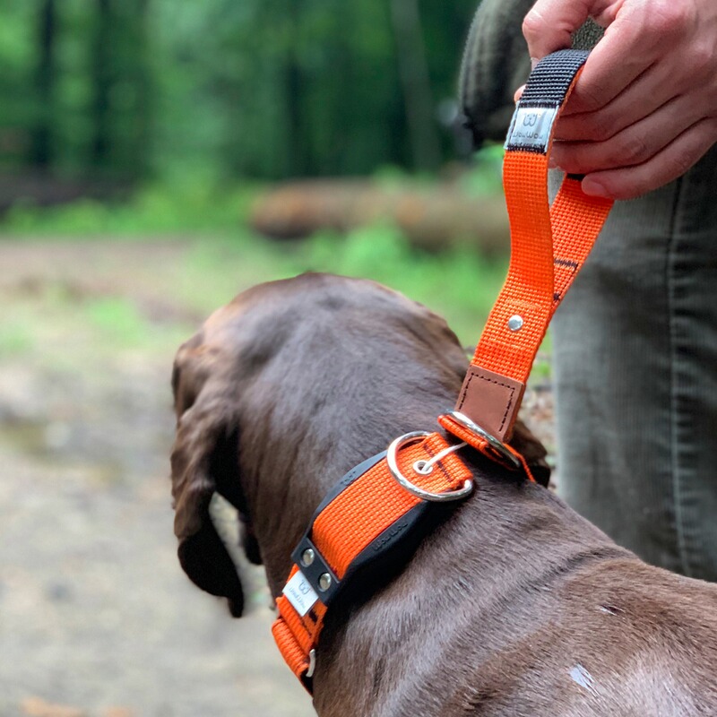 WowWow Hundehalsband Professional