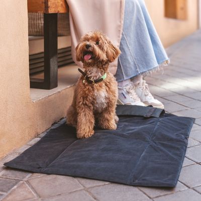 Nomad Tales Reise-Hundematte Ebony
