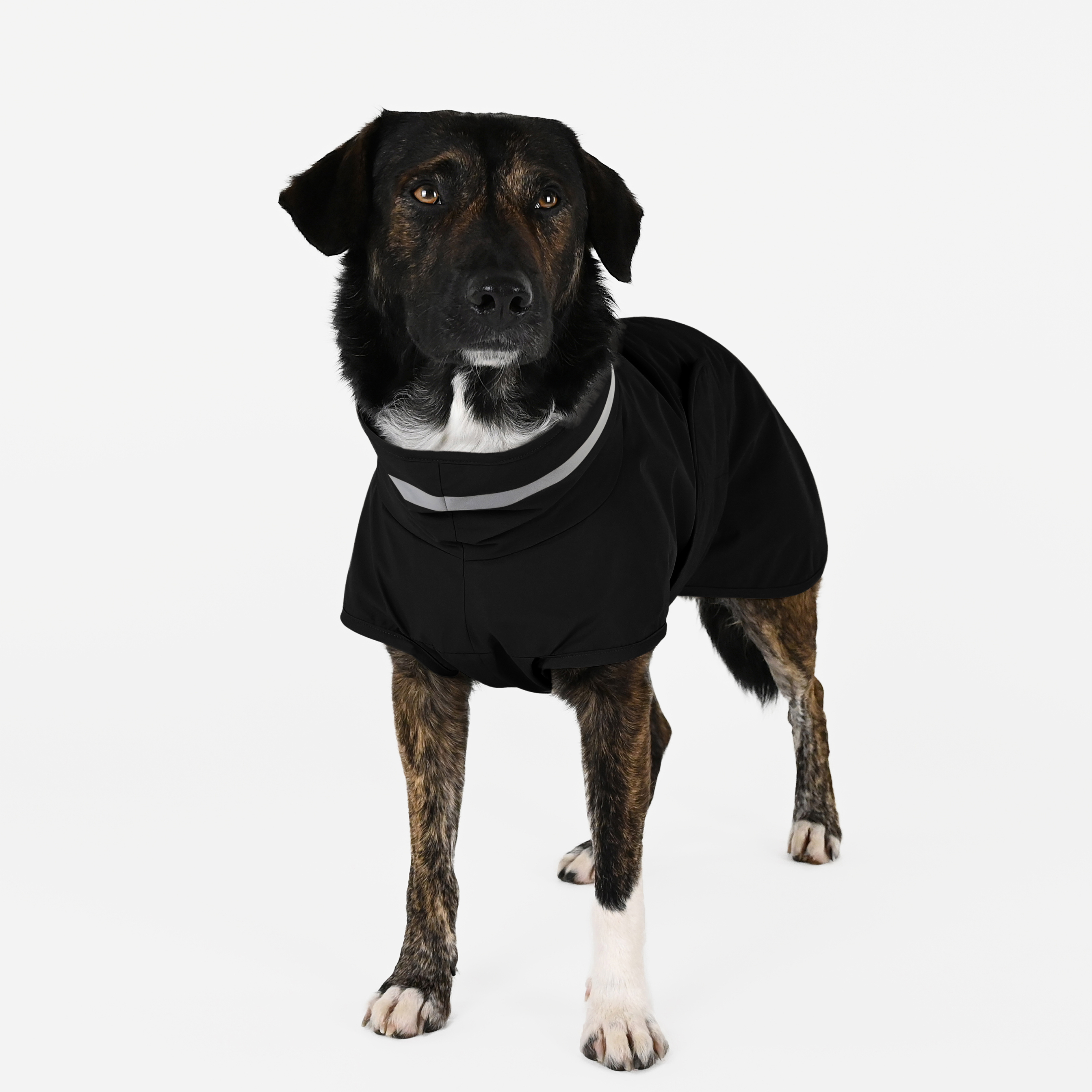 THE DOG IDEA Hundemäntel THE DOG IDEA Regenmantel Kayden Schwarz XS