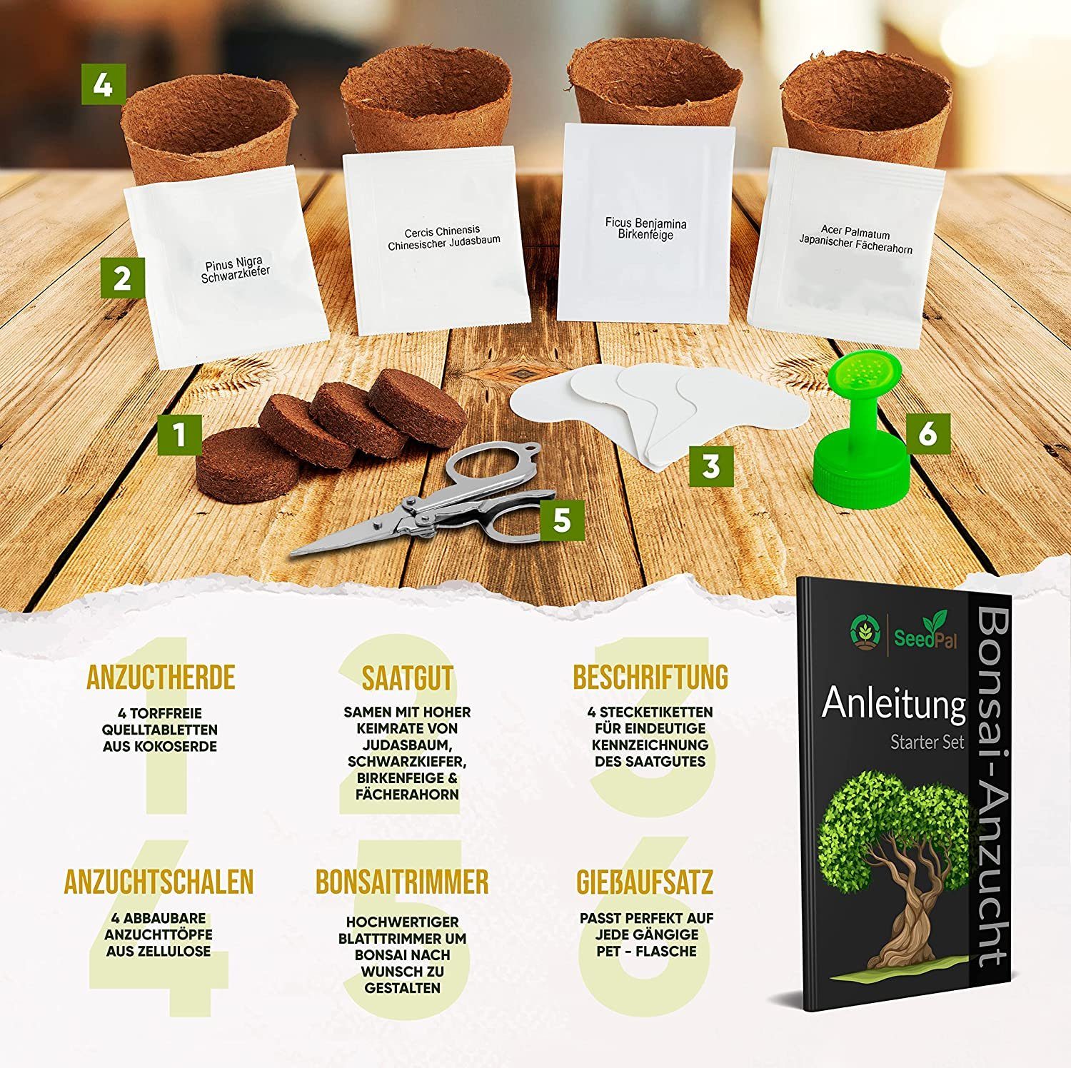 Kunstbonsai Easy Bonsai Starter Kit - Bonsai Anzuchtset 4 versch. Bonsai Samen Bonsaisamen, SeedPal, In Zusammenarbeit mit der niederbayrischen Lebenshilfe