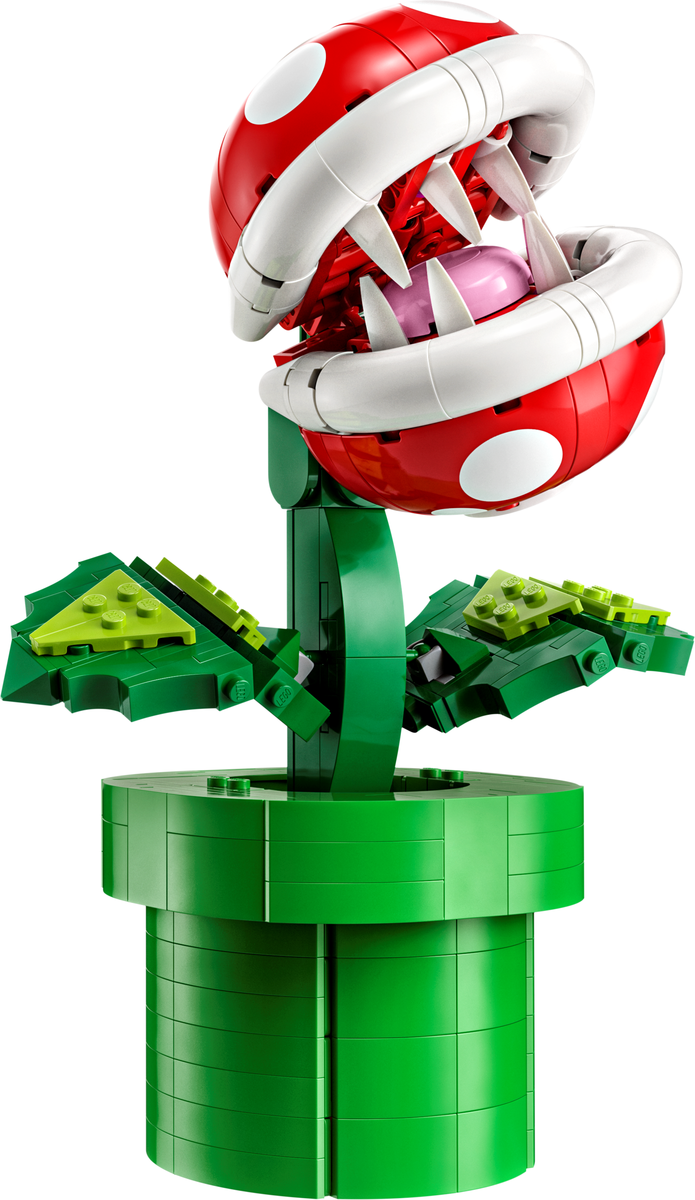 Piranha-Pflanze 71426
