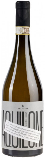 2022 AQUILONE Offida DOCG trocken Bio - Ama Aquilone