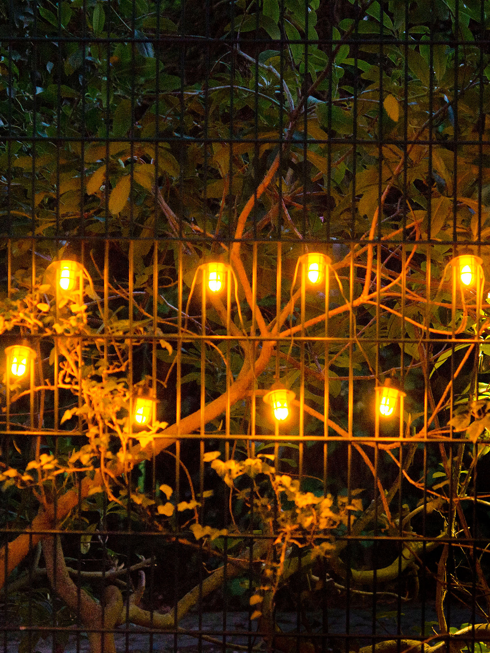 Laternenkette Lichterkette, Schwarz