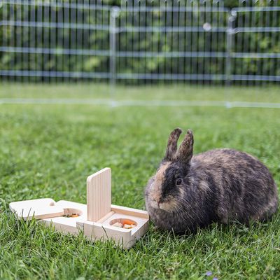 Kerbl Pet Denk- & Lernspielzeug Snackbox
