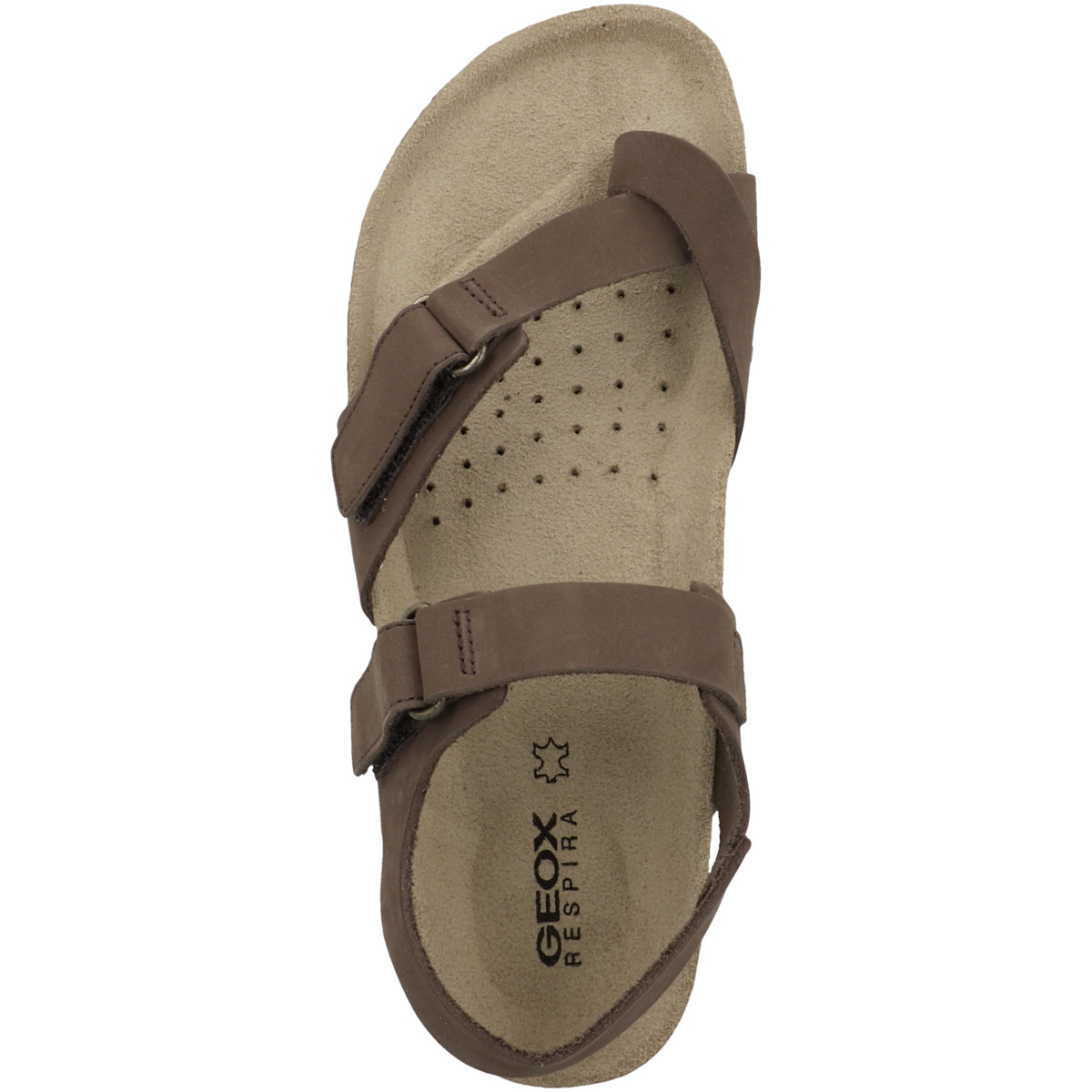 Geox D Brionia J Zehensandale braun