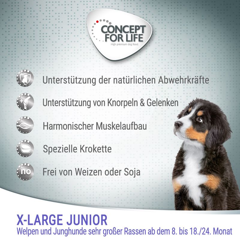 Concept for Life X-Large Junior