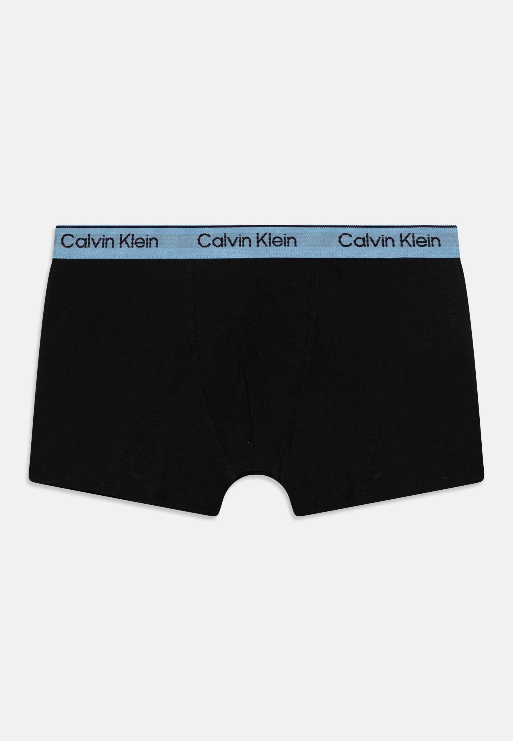 Calvin Klein Underwear TRUNK PACK DE 2 - Culotte