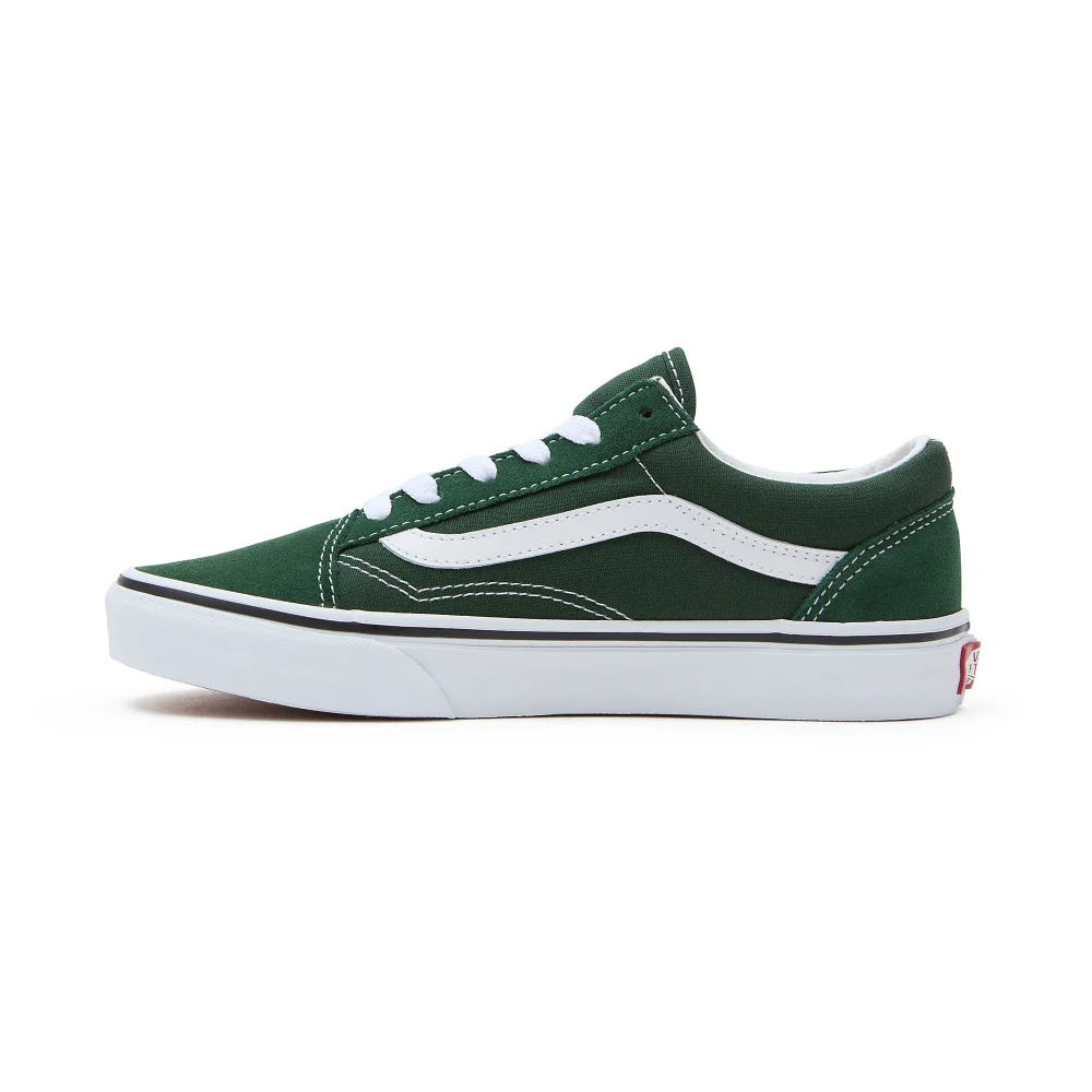 Vans Old Skool VN0A5EE6BD61 / grün