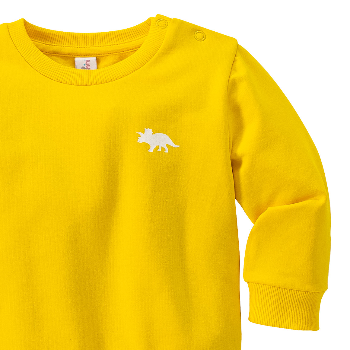 Baby Sweatshirt mit kleinem Dino