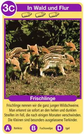 Tierkinder - Kartenspiel ab 4 Jahren