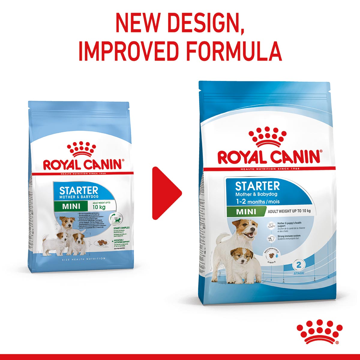 ROYAL CANIN MINI Starter Trockenfutter für tragende Hündinnen und Welpen kleiner Rassen