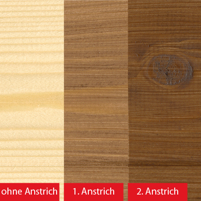 Baufix PUR-Langzeitlasur palisander 5 L 2er Set
