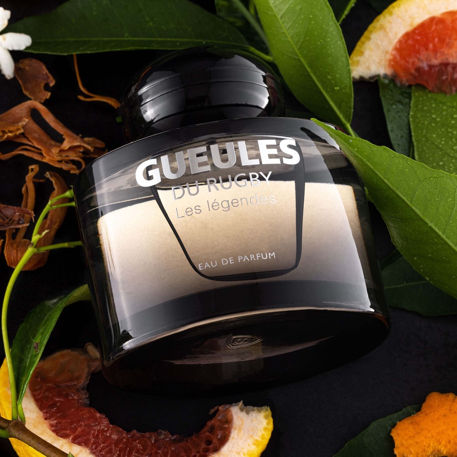 Ragbi obrazi: Legende