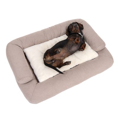 Modern Living Hundesofa Vancouver