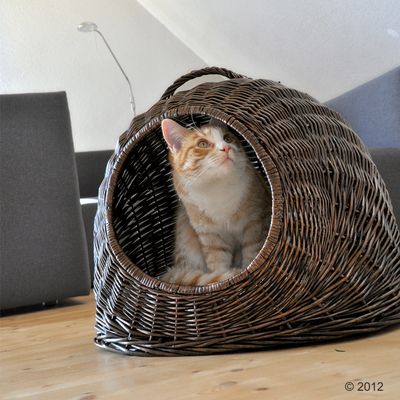 Aumüller Korbhöhle XXL