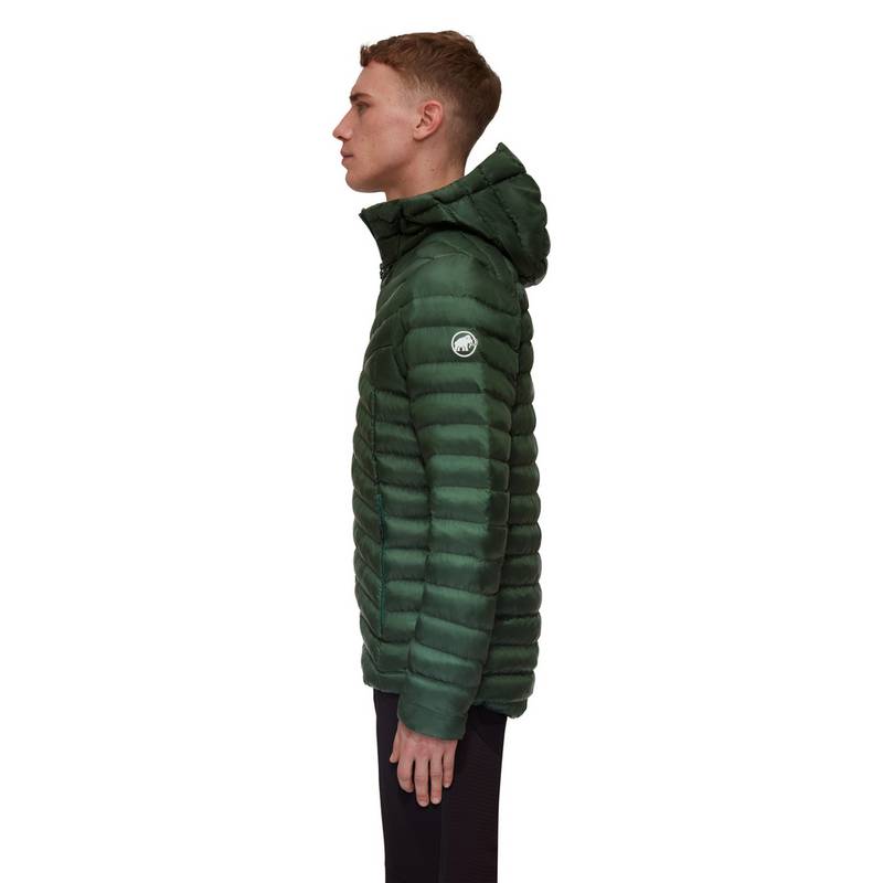 Mammut Albula Hooded Kunstfaserjacke Herren