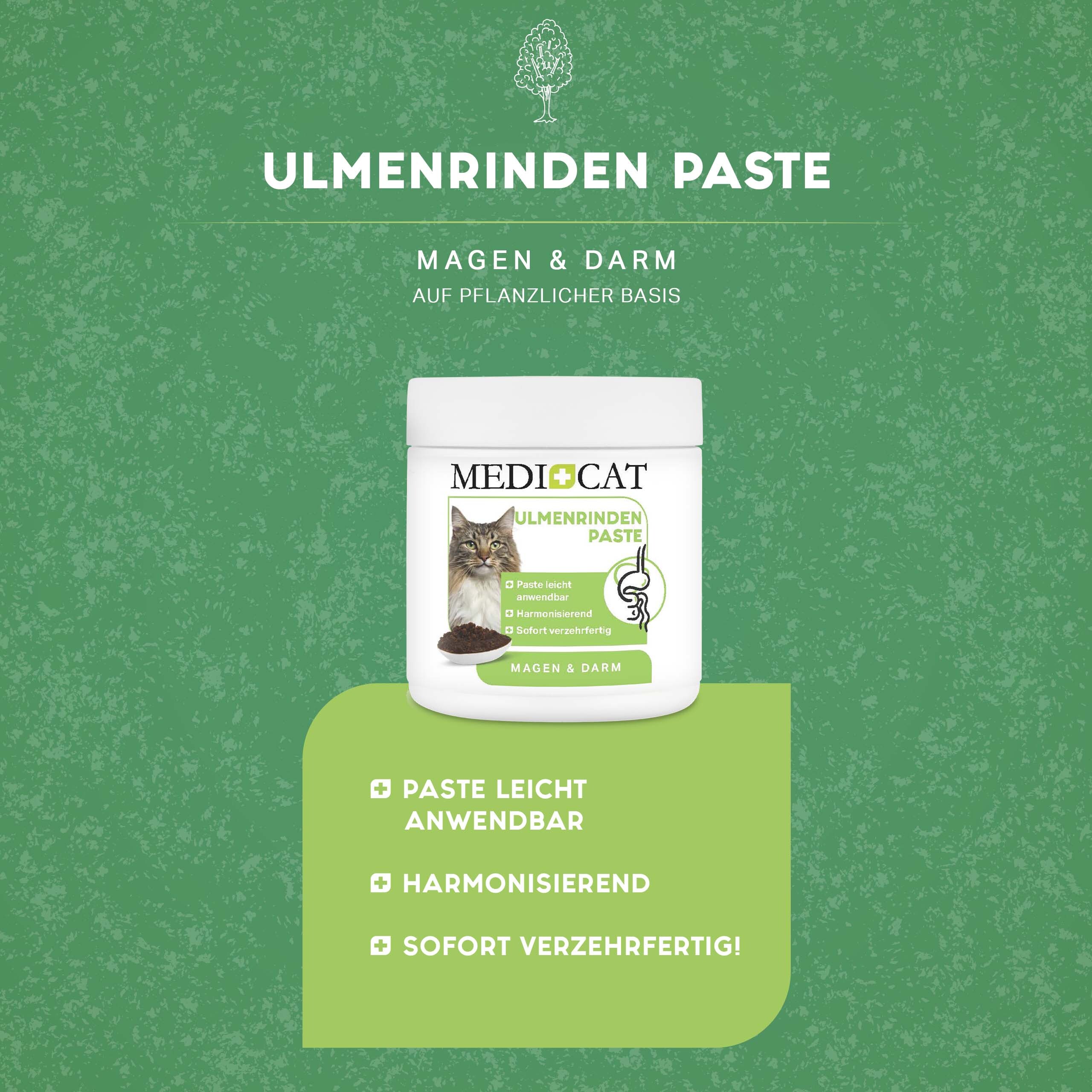 MediCat Ergänzungsfutter & Aufzucht MediCat Ulmenrinde Paste