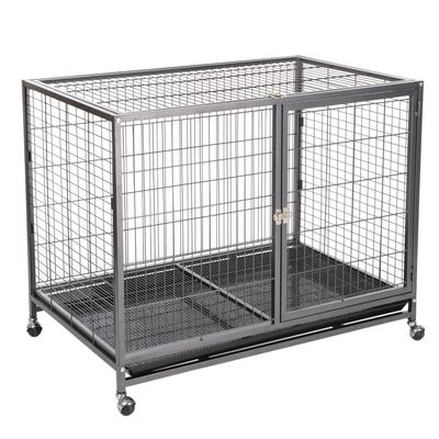 Zimmerkennel Tabby L