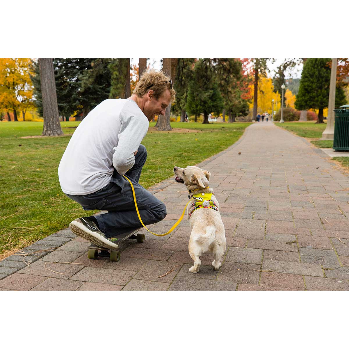 Ruffwear Geschirr Flagline Lichen Green kaufen bei ZooRoyal