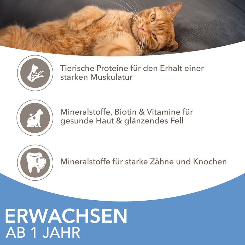 IAMS Advanced Nutrition Adult Sea Mix zu TOP-Preisen