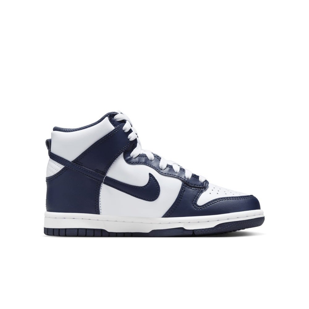 Nike Dunk High DB2179-008 / grau
