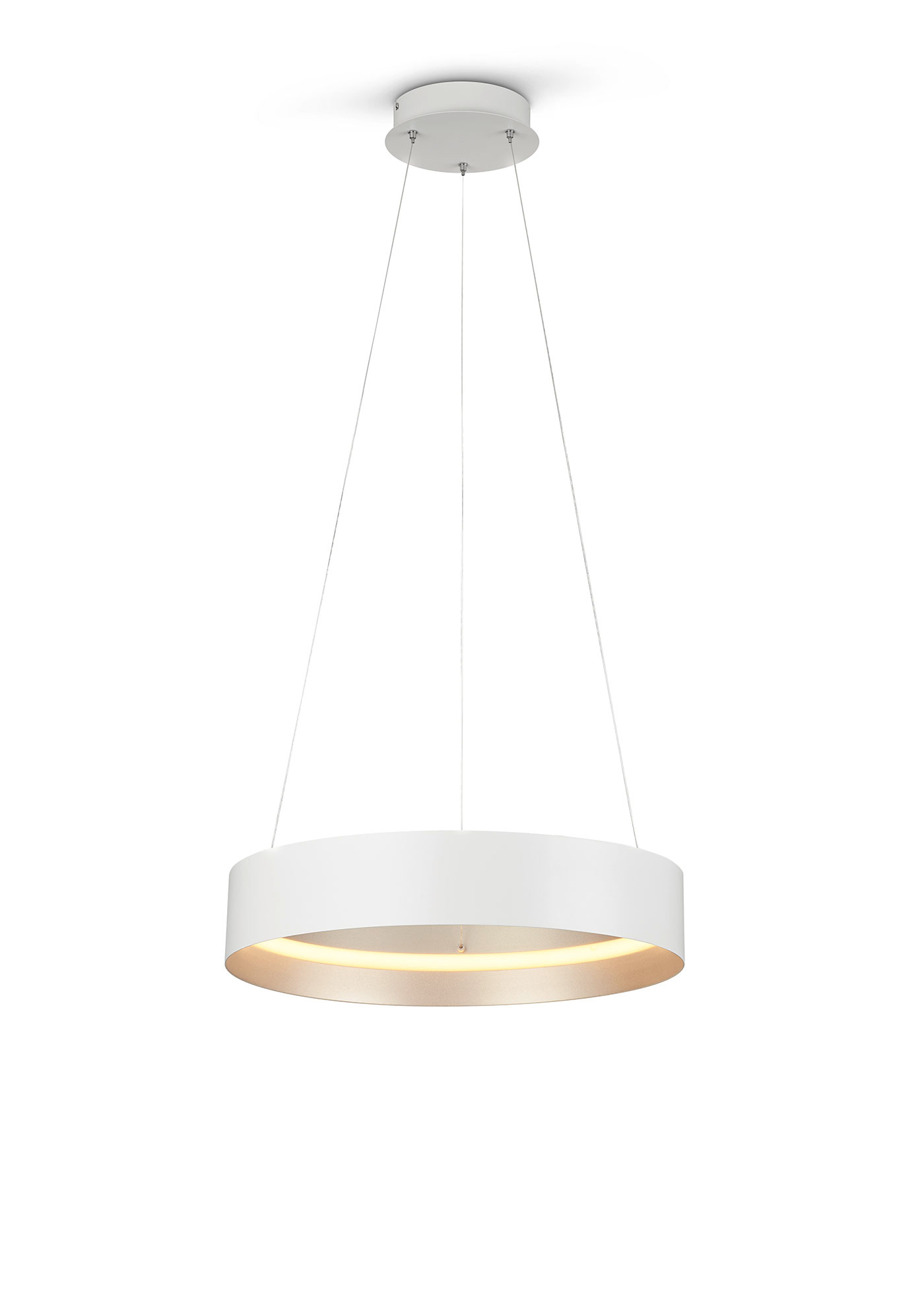 MusterringLED-Pendelleuchte 1flg