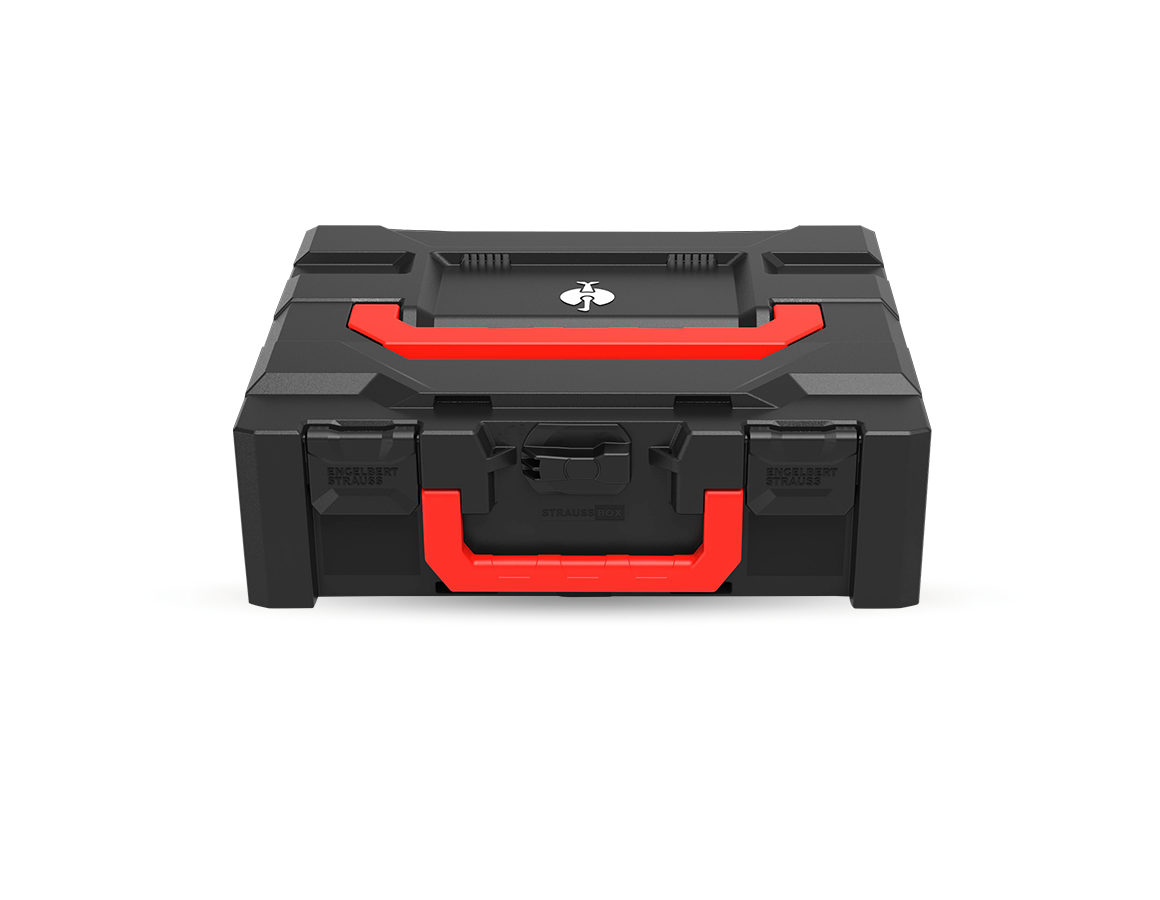 STRAUSSbox 145 midi+ Color