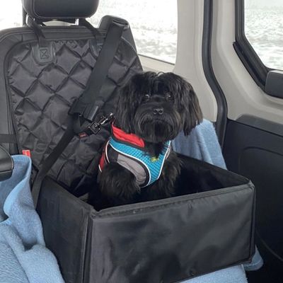 Dogsto Hunde Sicherheitsgurt