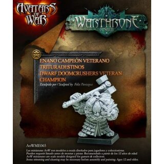 Champion of the Kings Guard