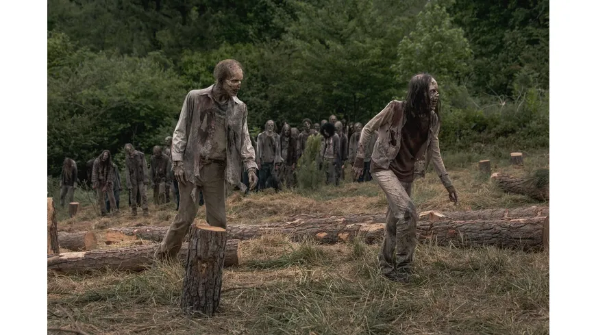 The Walking Dead - Staffel 9  [6 DVDs]