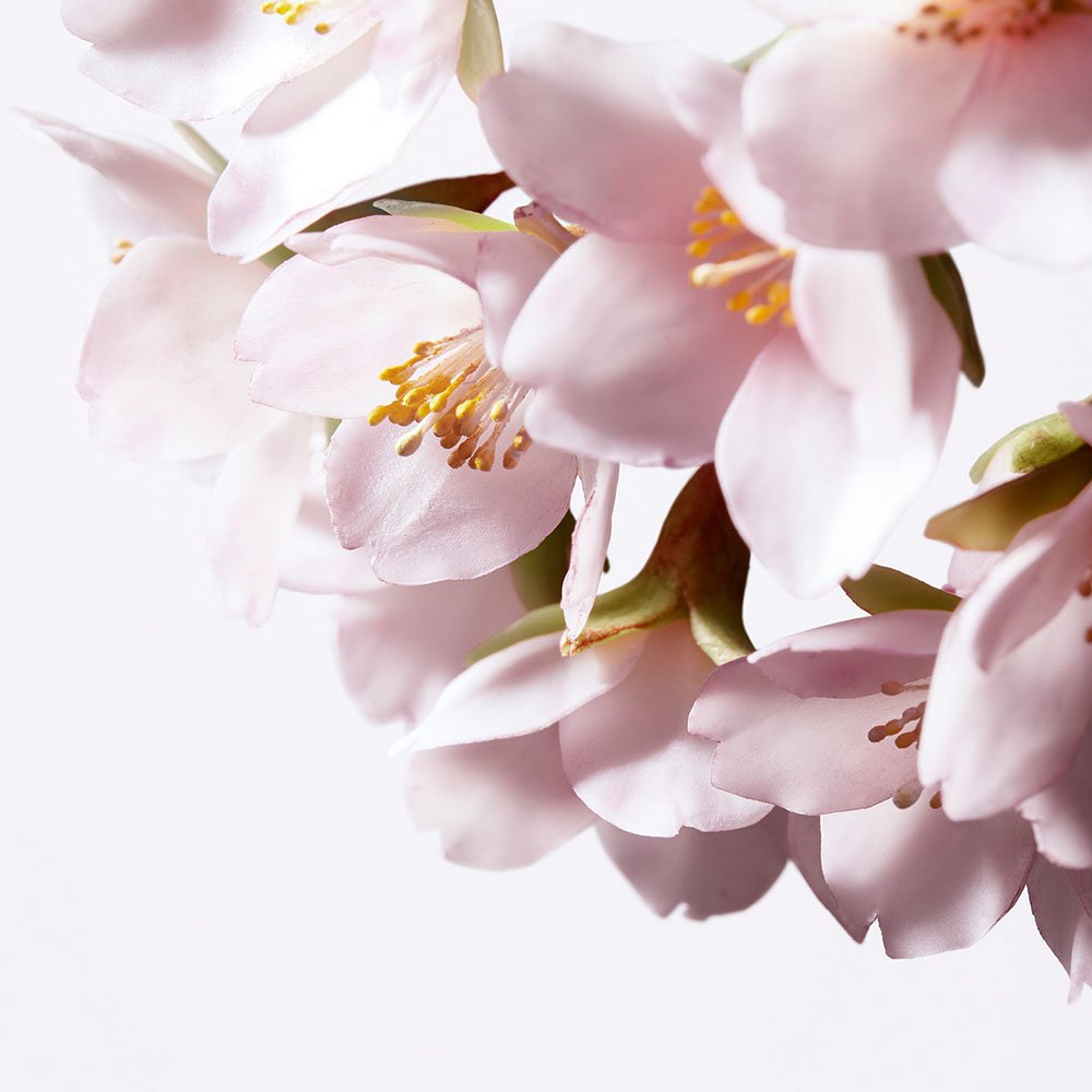 Shiseido White Lucent Illuminating Micro-Spot Serum