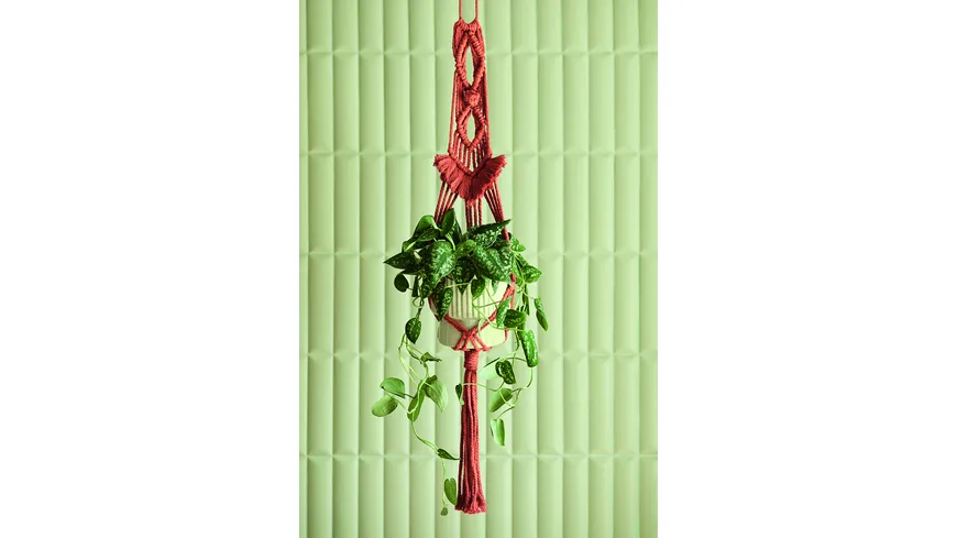 Anchor Makramee Set Blumenampel Artsy