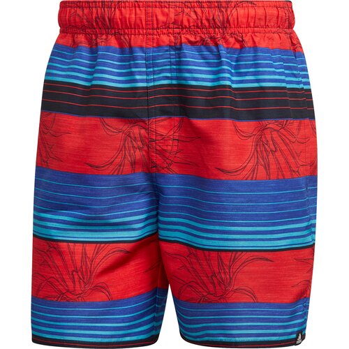 HERREN STRIPE BADESHORTS