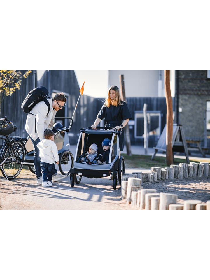 Thule Fahrradanhänger 