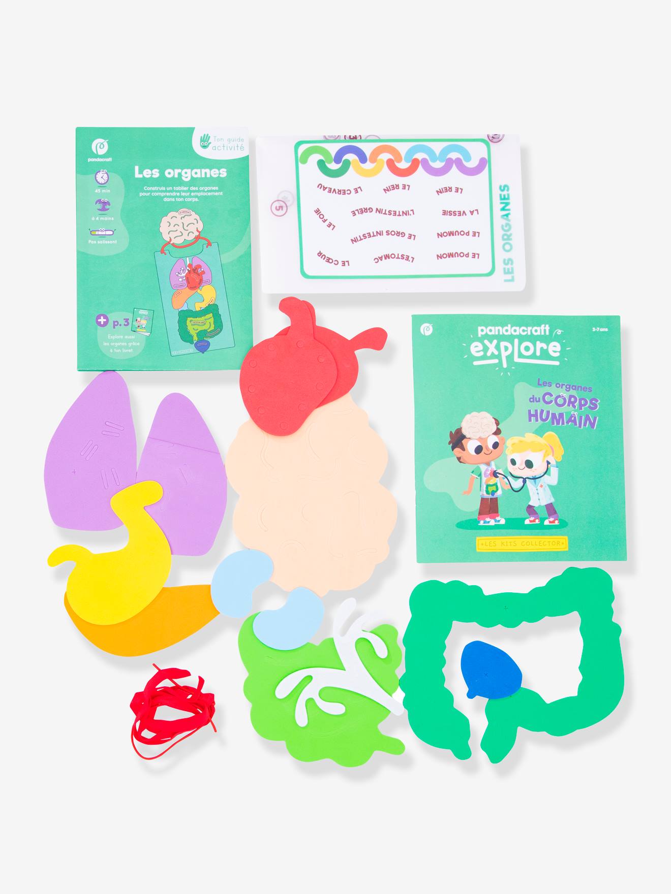 Kit Collector Les organes du corps 3/7 ans PANDACRAFT violet