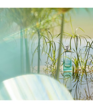 HERMÈS Un Jardin Sur Le Nil Eau de Toilette 50 ml