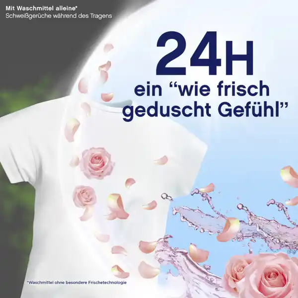 Frühlingsgarten Weichspüler 68WL
