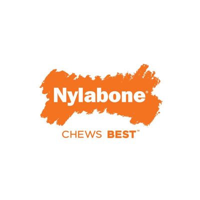 Nylabone Dura Chew Beef Jerky
