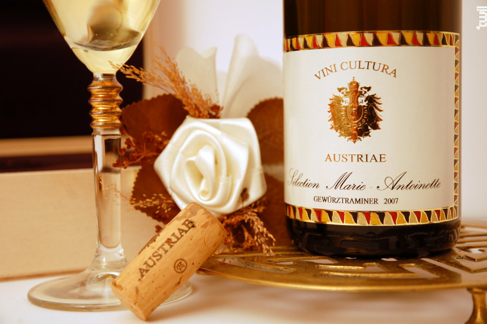 Sélection Marie-Antoinette Domaine Hintermayer Vin Blanc●Autres appellations de Wagram 2007 75cl