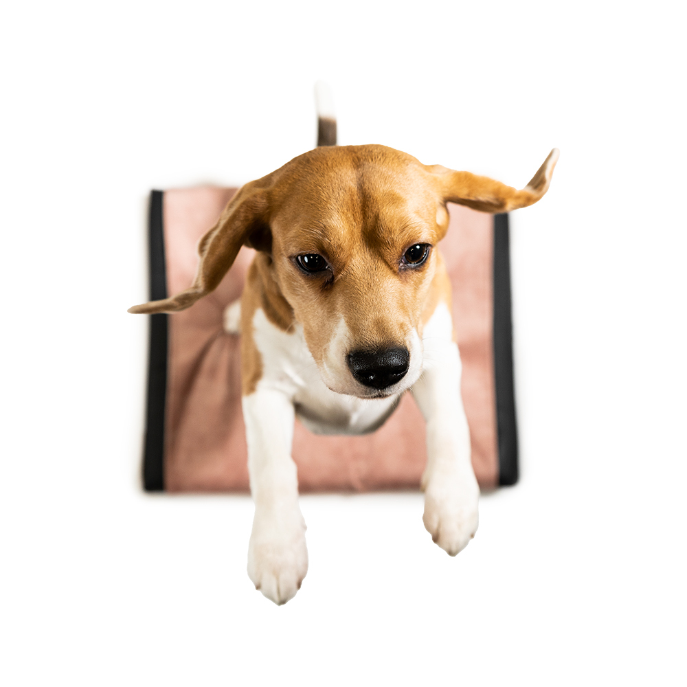 Rexproduct Hundebetten Rexproduct ORI Orthopädische Matratze pink XXL